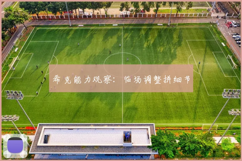 希克能力观察：临场调整拼细节